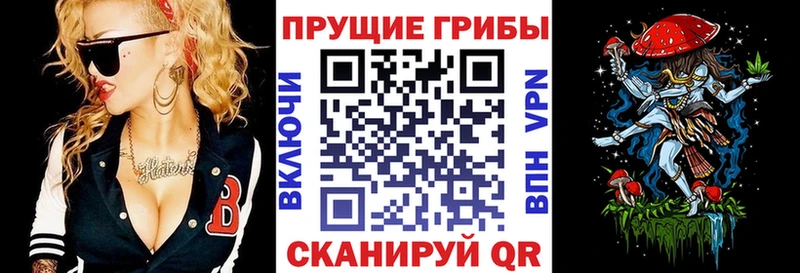 Галлюциногенные грибы Psilocybine cubensis  где купить наркотик  Ейск 